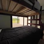 The Forest House